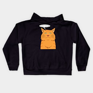 Ginger cat: Food please! Kids Hoodie